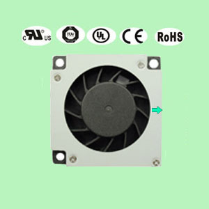 3507蘑菇视频在线播放